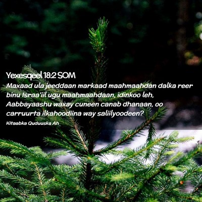 Picture 02 - Yexesqeel 18:2 SOM - Maxaad ula jeeddaan markaad maahmaahdan dalka - Bible Verse Picture