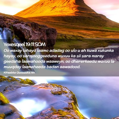 Picture 02 - Yexesqeel 19:11 SOM - Oo waxay lahayd laamo adadag oo ulo u ah kuwa - Bible Verse Picture