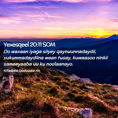Picture 02 - Yexesqeel 20:11 SOM - Oo waxaan iyaga siiyey qaynuunnadaydii, - Bible Verse Picture