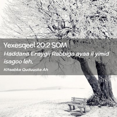 Picture 02 - Yexesqeel 20:2 SOM - Haddana Eraygii Rabbiga ayaa ii yimid isagoo - Bible Verse Picture