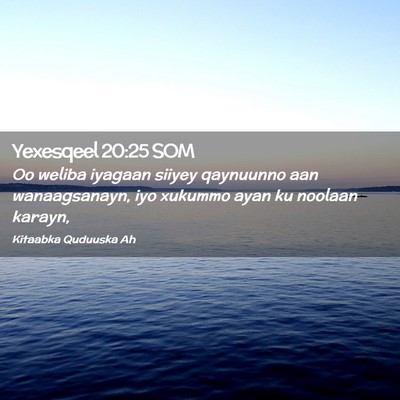 Picture 02 - Yexesqeel 20:25 SOM - Oo weliba iyagaan siiyey qaynuunno aan - Bible Verse Picture