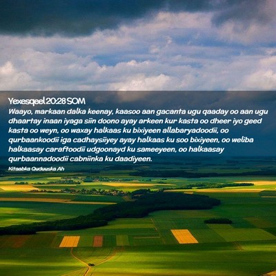 Picture 02 - Yexesqeel 20:28 SOM - Waayo, markaan dalka keenay, kaasoo aan gacanta - Bible Verse Picture