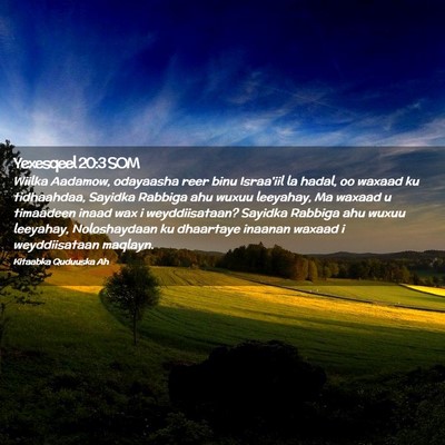 Picture 02 - Yexesqeel 20:3 SOM - Wiilka Aadamow, odayaasha reer binu Israa'iil la - Bible Verse Picture