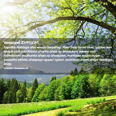 Picture 02 - Yexesqeel 20:44 SOM - Sayidka Rabbiga ahu wuxuu leeyahay, Reer binu - Bible Verse Picture