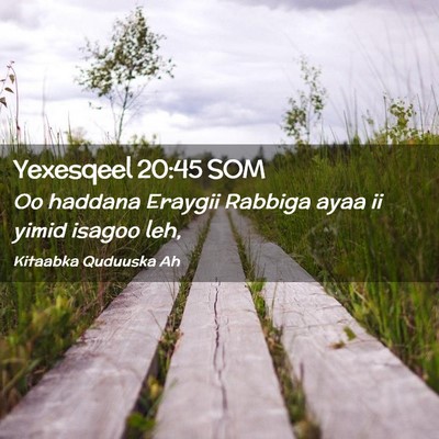 Picture 02 - Yexesqeel 20:45 SOM - Oo haddana Eraygii Rabbiga ayaa ii yimid isagoo - Bible Verse Picture