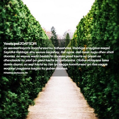Picture 02 - Yexesqeel 20:47 SOM - oo waxaad kaynta koonfureed ku tidhaahdaa, - Bible Verse Picture