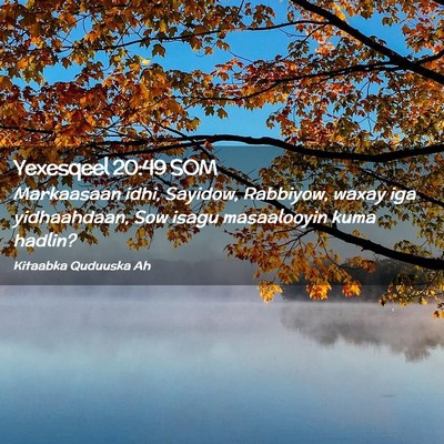 Picture 02 - Yexesqeel 20:49 SOM - Markaasaan idhi, Sayidow, Rabbiyow, waxay iga - Bible Verse Picture
