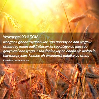 Picture 02 - Yexesqeel 20:6 SOM - waagaas gacantaydaan kor ugu qaaday oo aan iyaga - Bible Verse Picture