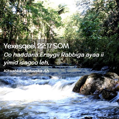 Picture 02 - Yexesqeel 22:17 SOM - Oo haddana Eraygii Rabbiga ayaa ii yimid isagoo - Bible Verse Picture