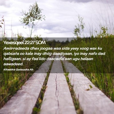 Picture 02 - Yexesqeel 22:27 SOM - Amiirradeeda dhex joogaa waa sida yeey xoog wax - Bible Verse Picture