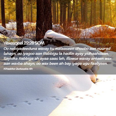 Picture 02 - Yexesqeel 22:28 SOM - Oo nebiyadeeduna waxay ku malaaseen dhoobo aan - Bible Verse Picture