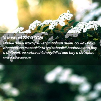 Picture 02 - Yexesqeel 22:29 SOM - Dadkii dalku waxay ku isticmaaleen dulmi, oo wax - Bible Verse Picture