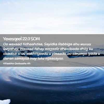 Picture 02 - Yexesqeel 22:3 SOM - Oo waxaad tidhaahdaa, Sayidka Rabbiga ahu wuxuu - Bible Verse Picture