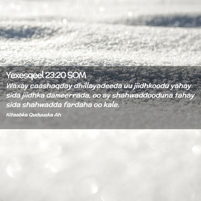 Picture 02 - Yexesqeel 23:20 SOM - Waxay caashaqday dhillayadeeda uu jiidhkoodu - Bible Verse Picture