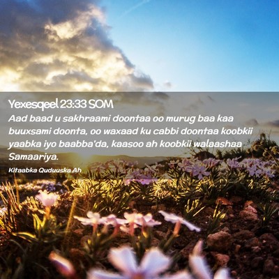 Picture 02 - Yexesqeel 23:33 SOM - Aad baad u sakhraami doontaa oo murug baa kaa - Bible Verse Picture