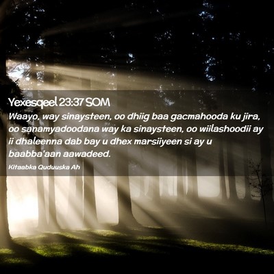Picture 02 - Yexesqeel 23:37 SOM - Waayo, way sinaysteen, oo dhiig baa gacmahooda ku - Bible Verse Picture