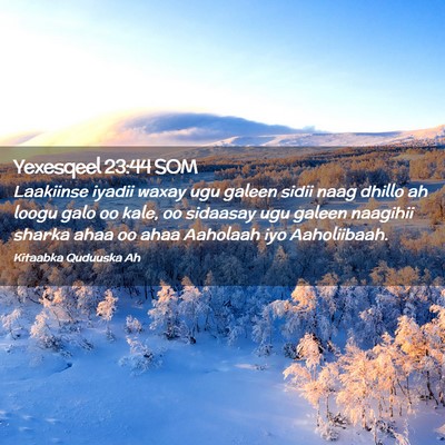 Picture 02 - Yexesqeel 23:44 SOM - Laakiinse iyadii waxay ugu galeen sidii naag - Bible Verse Picture