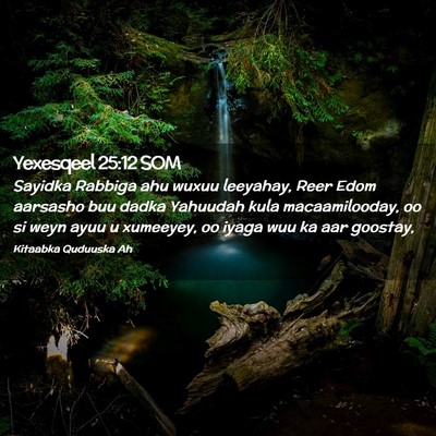 Picture 02 - Yexesqeel 25:12 SOM - Sayidka Rabbiga ahu wuxuu leeyahay, Reer Edom - Bible Verse Picture