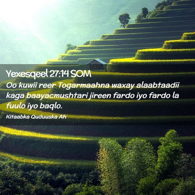Picture 02 - Yexesqeel 27:14 SOM - Oo kuwii reer Togarmaahna waxay alaabtaadii kaga - Bible Verse Picture