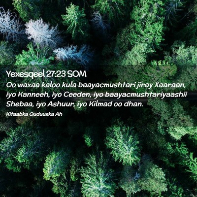 Picture 02 - Yexesqeel 27:23 SOM - Oo waxaa kaloo kula baayacmushtari jiray Xaaraan, - Bible Verse Picture