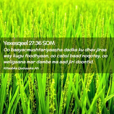 Picture 02 - Yexesqeel 27:36 SOM - Oo baayacmushtariyaasha dadka ku dhex jiraa way - Bible Verse Picture