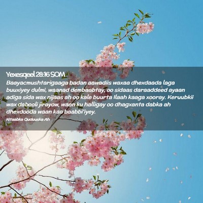 Picture 02 - Yexesqeel 28:16 SOM - Baayacmushtarigaaga badan aawadiis waxaa - Bible Verse Picture