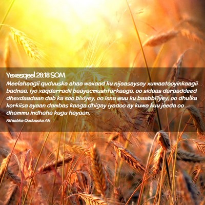 Picture 02 - Yexesqeel 28:18 SOM - Meelahaagii quduuska ahaa waxaad ku nijaasaysay - Bible Verse Picture