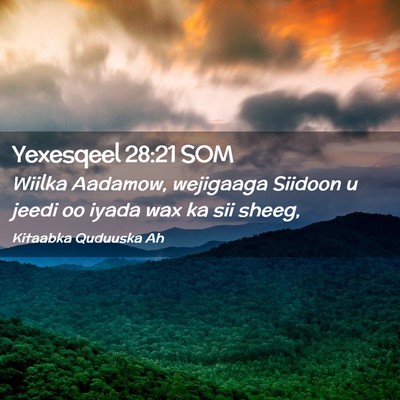 Picture 02 - Yexesqeel 28:21 SOM - Wiilka Aadamow, wejigaaga Siidoon u jeedi oo - Bible Verse Picture