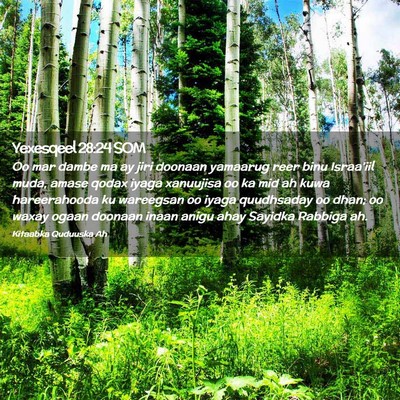 Picture 02 - Yexesqeel 28:24 SOM - Oo mar dambe ma ay jiri doonaan yamaarug reer - Bible Verse Picture