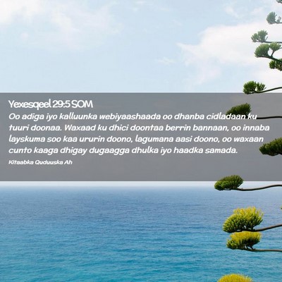 Picture 02 - Yexesqeel 29:5 SOM - Oo adiga iyo kalluunka webiyaashaada oo dhanba - Bible Verse Picture