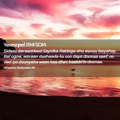 Picture 02 - Yexesqeel 29:8 SOM - Sidaas daraaddeed Sayidka Rabbiga ahu wuxuu - Bible Verse Picture