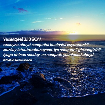 Picture 02 - Yexesqeel 3:13 SOM - waxayna ahayd sanqadhii baalashii xayawaankii - Bible Verse Picture
