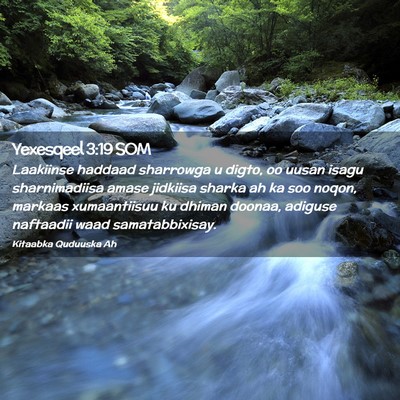 Picture 02 - Yexesqeel 3:19 SOM - Laakiinse haddaad sharrowga u digto, oo uusan - Bible Verse Picture