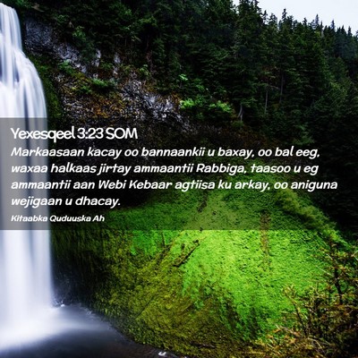 Picture 02 - Yexesqeel 3:23 SOM - Markaasaan kacay oo bannaankii u baxay, oo bal - Bible Verse Picture