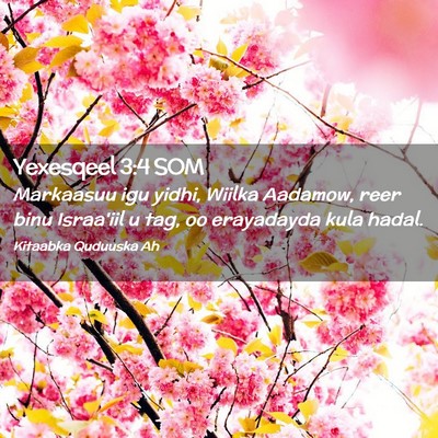 Picture 02 - Yexesqeel 3:4 SOM - Markaasuu igu yidhi, Wiilka Aadamow, reer binu - Bible Verse Picture