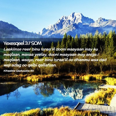 Picture 02 - Yexesqeel 3:7 SOM - Laakiinse reer binu Israa'iil dooni maayaan inay - Bible Verse Picture
