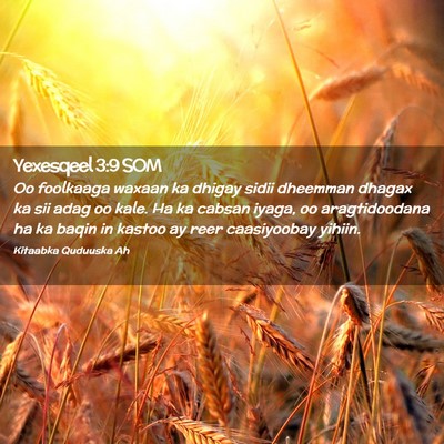 Picture 02 - Yexesqeel 3:9 SOM - Oo foolkaaga waxaan ka dhigay sidii dheemman - Bible Verse Picture