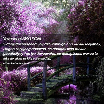 Picture 02 - Yexesqeel 31:10 SOM - Sidaas daraaddeed Sayidka Rabbiga ahu wuxuu - Bible Verse Picture