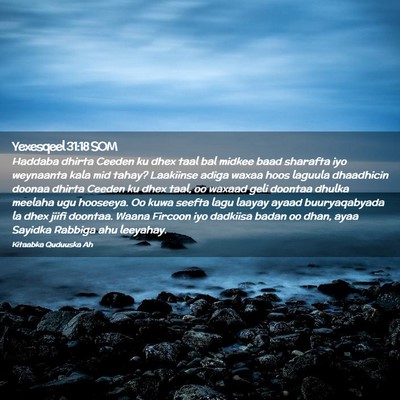 Picture 02 - Yexesqeel 31:18 SOM - Haddaba dhirta Ceeden ku dhex taal bal midkee - Bible Verse Picture