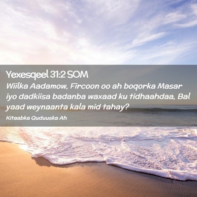 Picture 02 - Yexesqeel 31:2 SOM - Wiilka Aadamow, Fircoon oo ah boqorka Masar iyo - Bible Verse Picture