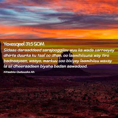 Picture 02 - Yexesqeel 31:5 SOM - Sidaas daraaddeed sarajooggiisu wuu ka wada - Bible Verse Picture