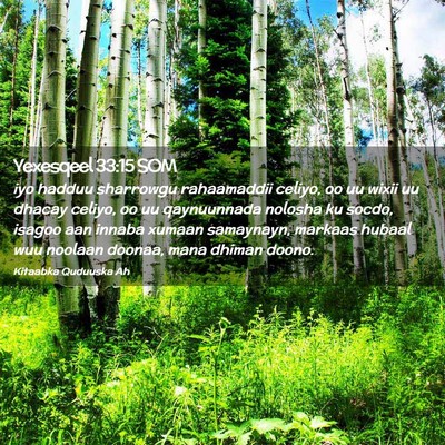 Picture 02 - Yexesqeel 33:15 SOM - iyo hadduu sharrowgu rahaamaddii celiyo, oo uu - Bible Verse Picture