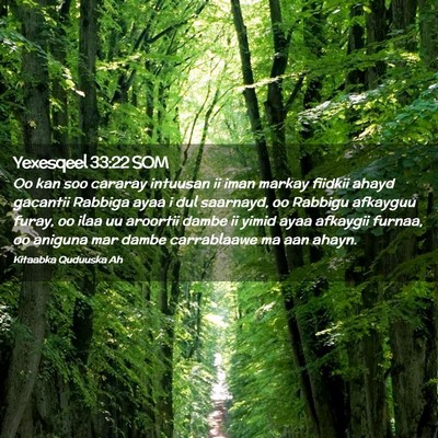Picture 02 - Yexesqeel 33:22 SOM - Oo kan soo cararay intuusan ii iman markay - Bible Verse Picture