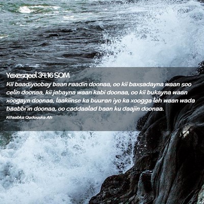 Picture 02 - Yexesqeel 34:16 SOM - Kii baadiyoobay baan raadin doonaa, oo kii - Bible Verse Picture