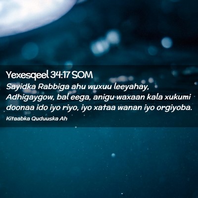 Picture 02 - Yexesqeel 34:17 SOM - Sayidka Rabbiga ahu wuxuu leeyahay, Adhigaygow, - Bible Verse Picture