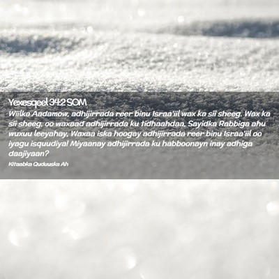 Picture 02 - Yexesqeel 34:2 SOM - Wiilka Aadamow, adhijirrada reer binu Israa'iil - Bible Verse Picture
