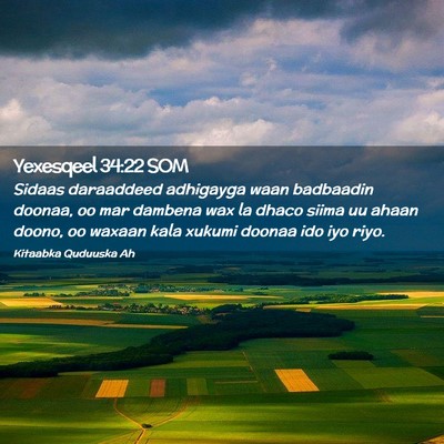 Picture 02 - Yexesqeel 34:22 SOM - Sidaas daraaddeed adhigayga waan badbaadin - Bible Verse Picture