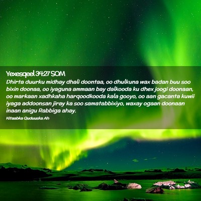 Picture 02 - Yexesqeel 34:27 SOM - Dhirta duurku midhay dhali doontaa, oo dhulkuna - Bible Verse Picture