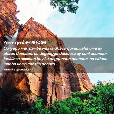 Picture 02 - Yexesqeel 34:28 SOM - Oo iyagu mar dambe wax la dhaco quruumaha uma ay - Bible Verse Picture