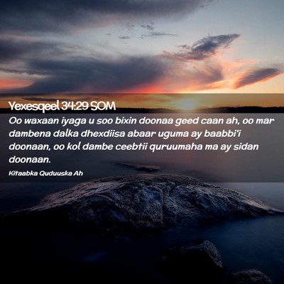 Picture 02 - Yexesqeel 34:29 SOM - Oo waxaan iyaga u soo bixin doonaa geed caan ah, - Bible Verse Picture